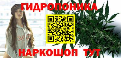 прущие крисы Апшеронск
