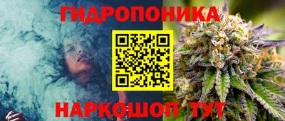 ешки Аргун