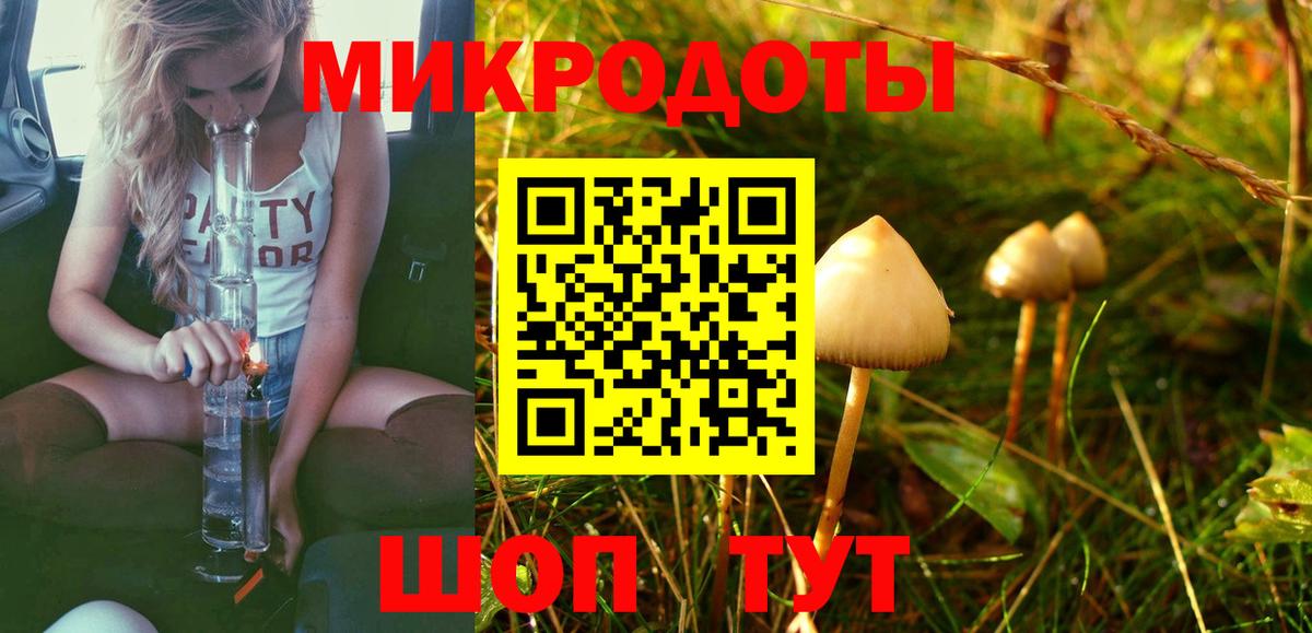 Галлюциногенные грибы ЛСД  Вход с VPN  Артём  Псилоцибиновые грибы Psilocybe 