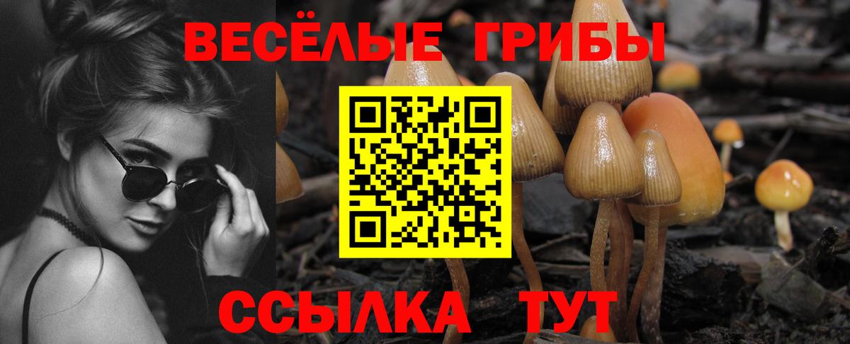 Галлюциногенные грибы GOLDEN TEACHER  Псилоцибиновые грибы GOLDEN TEACHER  Артём 