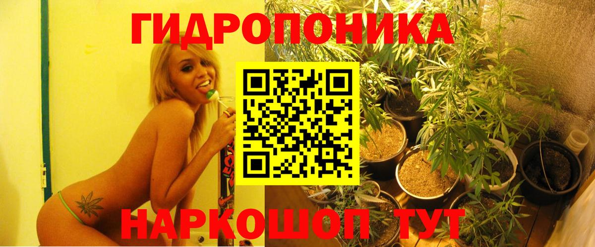 Канабис MAZAR  Канабис план  Вход с VPN  Бошки Шишки сатива  Артём  Бошки марихуана OG Kush 